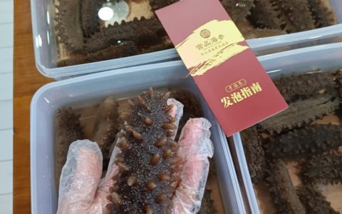 夏季海参为什么泡不好？90%人都做错的细节！