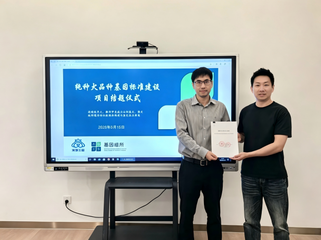 《纯种犬品种基因标准》共建计划 正式发布 品种标准从外观表型向基因科学的模式升级插图2 《纯种犬品种基因标准》共建计划 正式发布 品种标准从外观表型向基因科学的模式升级插图2