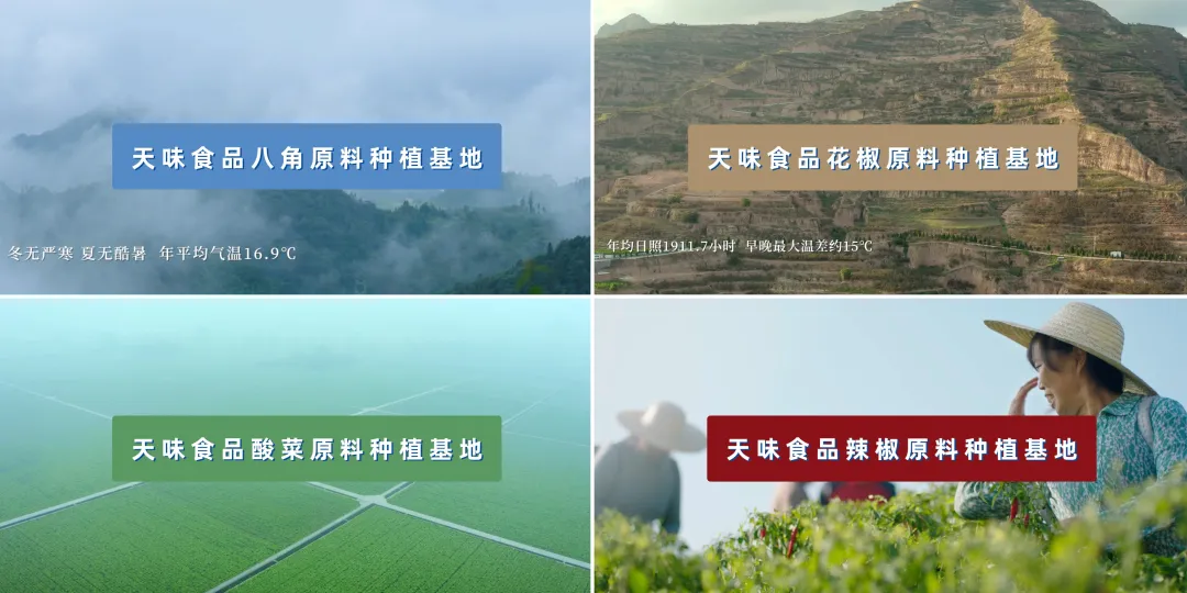 你家的厨房里，藏着一张天味画出的“中国味道地图”插图3