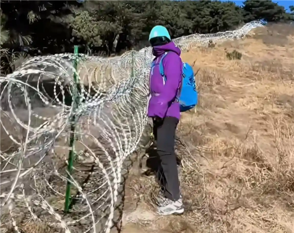 泰山周边建135公里刀片刺绳隔离网引争议，官方发信致歉并承诺优化插图