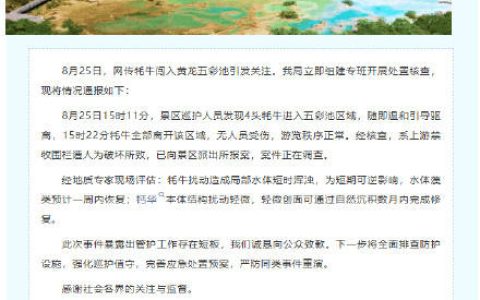 网传牦牛闯入黄龙五彩池，情况通报来了
