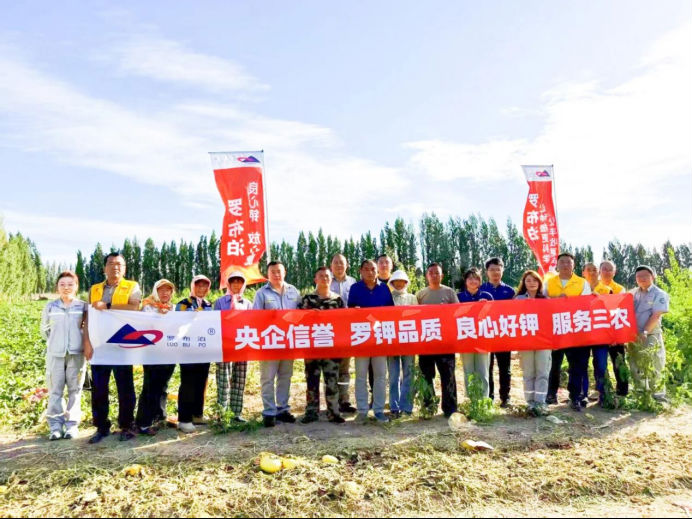 瓜香四溢 甜润八方！“罗布泊”优钾守护蜜瓜丰收，共赴甜蜜增收好时节插图4