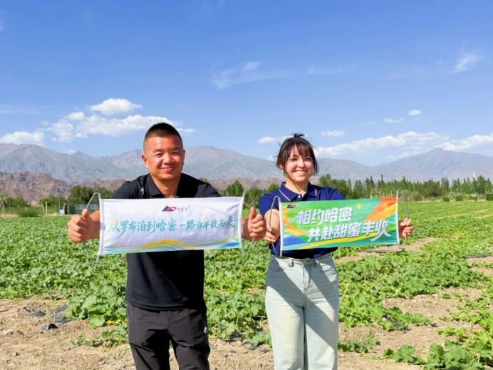 瓜香四溢 甜润八方！“罗布泊”优钾守护蜜瓜丰收，共赴甜蜜增收好时节插图10