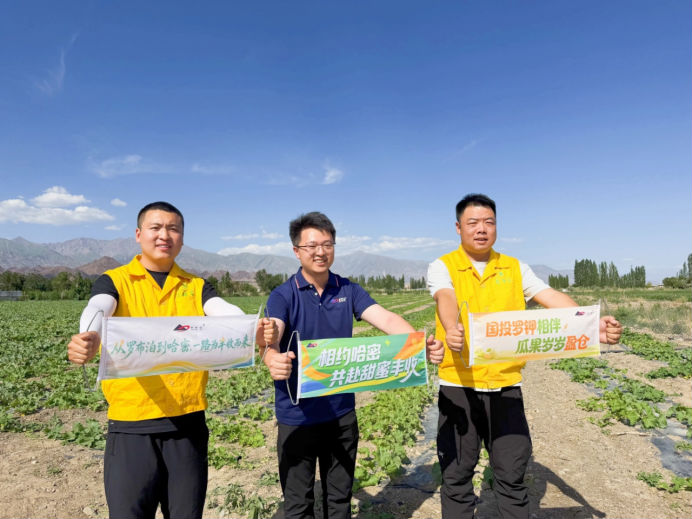 瓜香四溢 甜润八方！“罗布泊”优钾守护蜜瓜丰收，共赴甜蜜增收好时节插图11