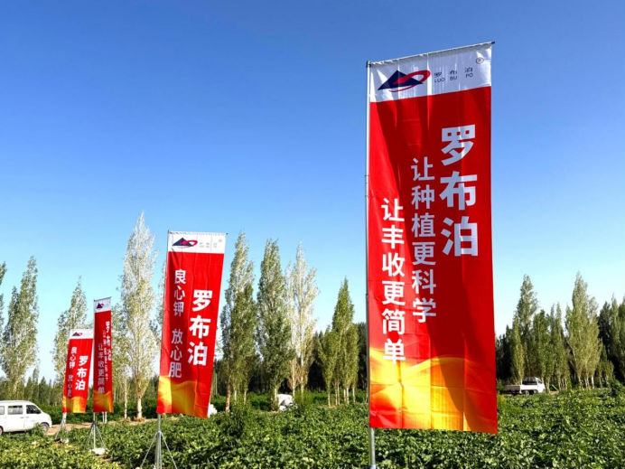 瓜香四溢 甜润八方！“罗布泊”优钾守护蜜瓜丰收，共赴甜蜜增收好时节插图12
