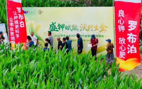 “罗布泊”系列产品助力通化市玉米稳产增收