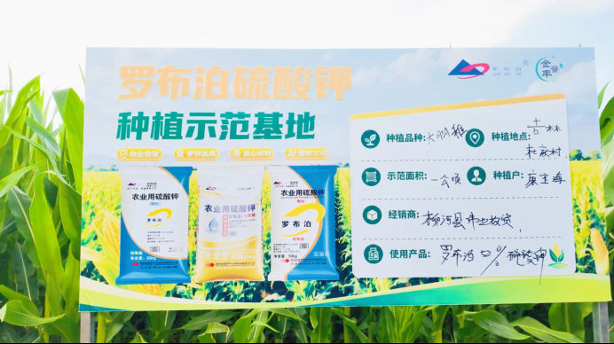 “罗布泊”系列产品助力通化市玉米稳产增收插图5
