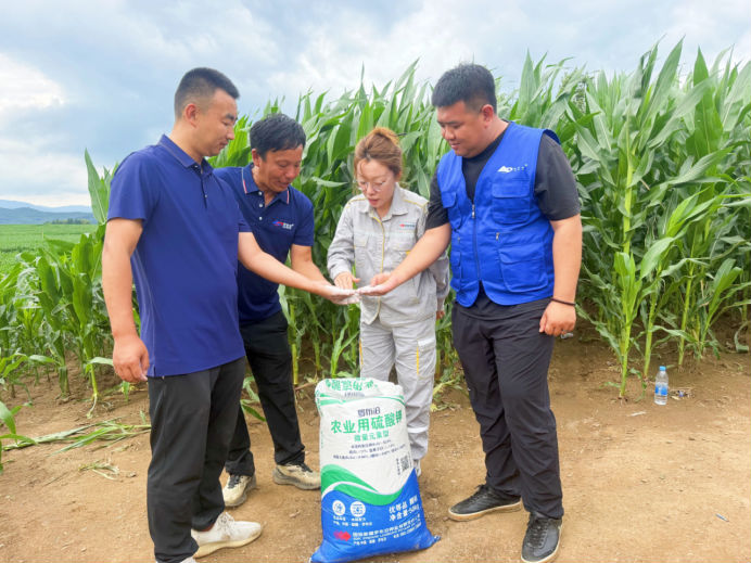 “罗布泊”系列产品助力通化市玉米稳产增收插图6