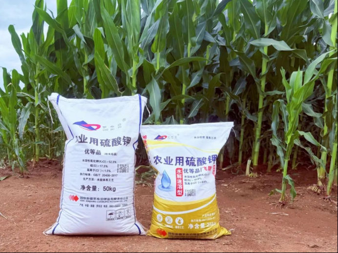 “罗布泊”系列产品助力通化市玉米稳产增收插图11
