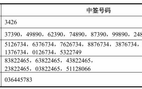 中签号码19414个！宇树科技中签结果出炉