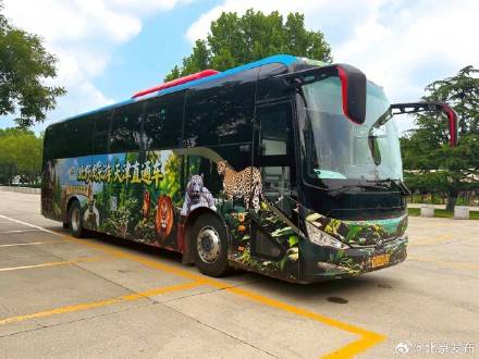 一站式直达，天津往返！北京野生动物园直通车正式开通插图