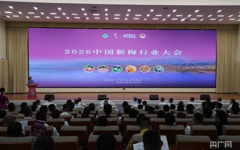 两大科创平台落地伽师 2026中国新梅行业大会开启新梅产业高质量新篇