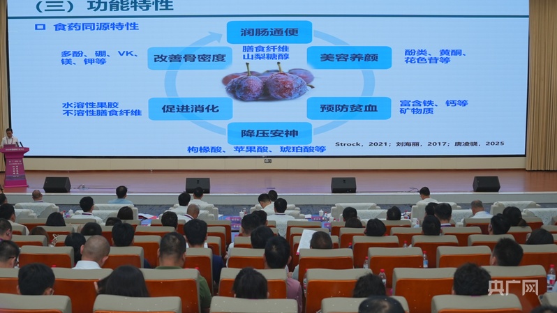 两大科创平台落地伽师 2026中国新梅行业大会开启新梅产业高质量新篇插图4