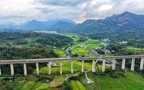 12306：已拒绝出票133.1万张