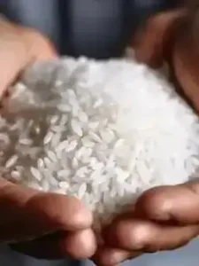 多方出手整治！年产70万吨五常大米 市面却卖出千万吨