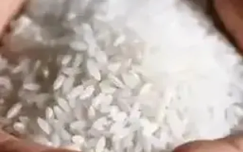 多方出手整治！年产70万吨五常大米 市面却卖出千万吨