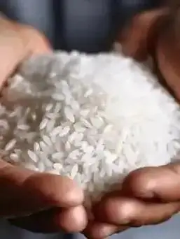 多方出手整治！年产70万吨五常大米 市面却卖出千万吨