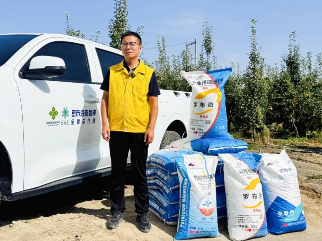 《种植前线》丝路梨香盈满园，国投罗钾携手新疆农佳乐，解锁香梨丰收密码