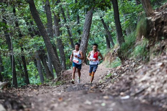 向山而跑逐梦太行 愚公故里激情燃动——2026中国山马越野系列赛暨首届济源山地越野（徒步）大会・全国徒步大会（河南济源站）举行