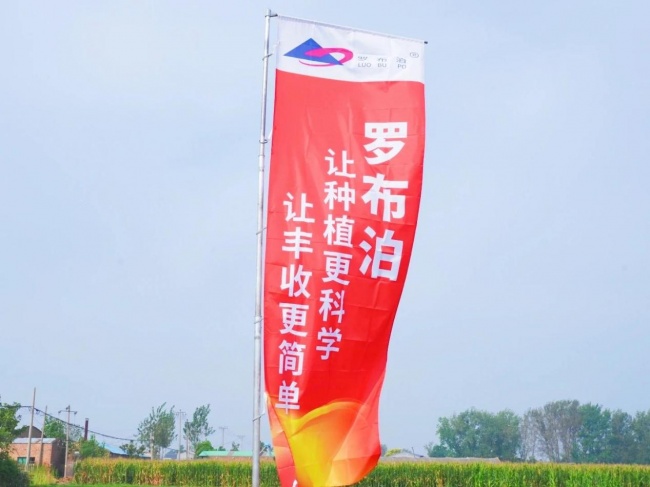《种植前线》豫地花生香，沃土聚钾旺，“罗布泊”全程方案赋能河南花生产业提质升级