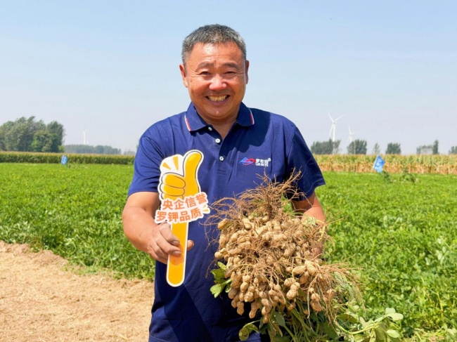 《种植前线》豫地花生香，沃土聚钾旺，“罗布泊”全程方案赋能河南花生产业提质升级