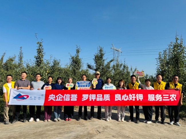 《种植前线》丝路梨香盈满园，国投罗钾携手新疆农佳乐，解锁香梨丰收密码