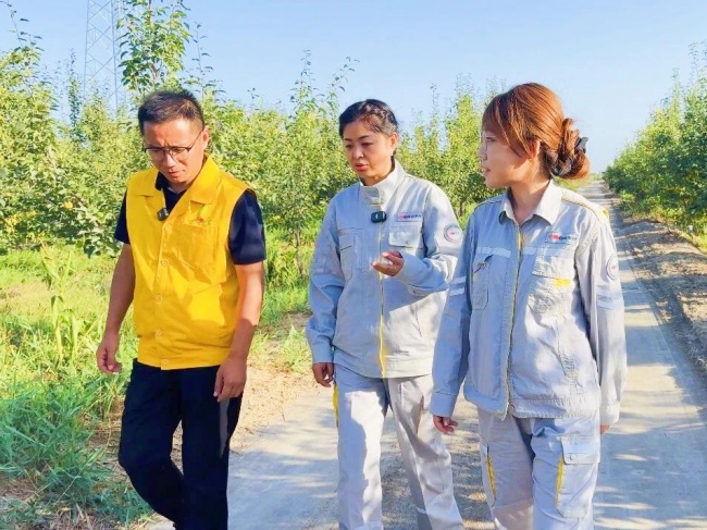 《种植前线》丝路梨香盈满园，国投罗钾携手新疆农佳乐，解锁香梨丰收密码