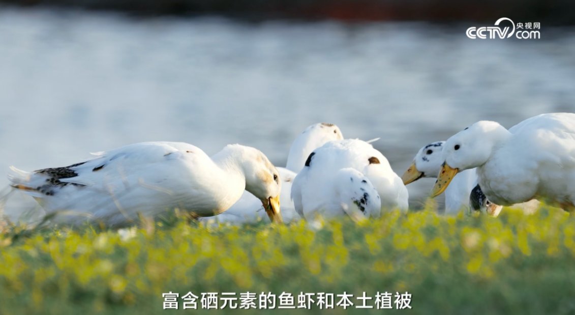 溯源儿童羽绒 守护孩子穿着安心