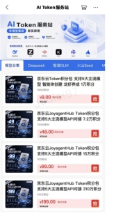 11.11来京东AI Token服务站：选模型、充Token、配工具、一站式搞定