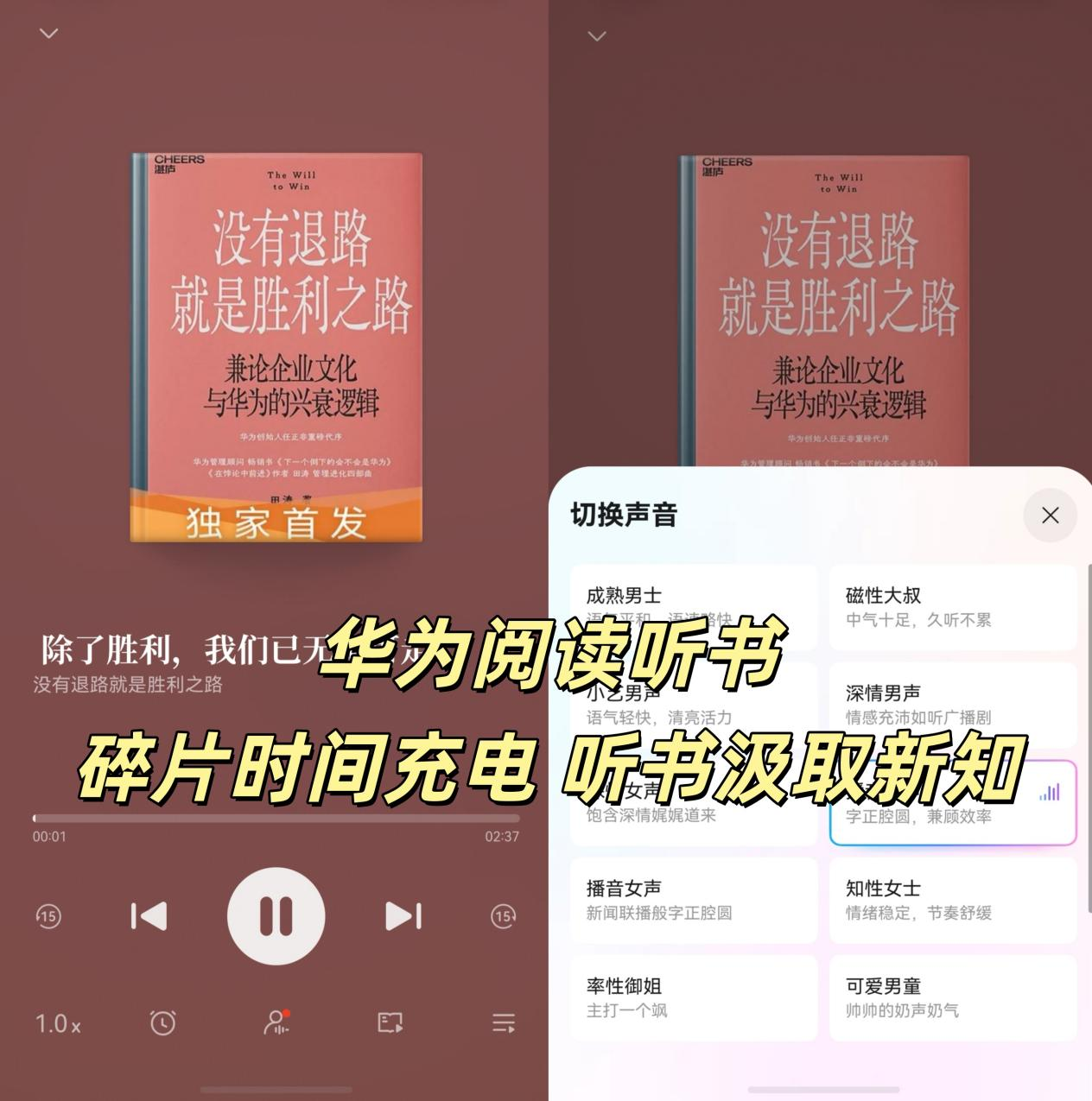 图片 3.png