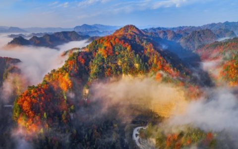 红叶染秋韵 文旅燃金秋——汉中实现生态颜值、文旅人气、经济产值的同步跃升